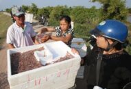 Rươi giá rẻ đổ bộ, J88.com Đăng nhập, Đăng ký trang chủ nhà cái J88 giảm giá theo