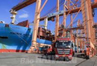 Chi nhánh Tân Vũ (Cảng Hải Phòng) đạt mốc 1 triệu teu container và hơn 60.300 xe ô tô