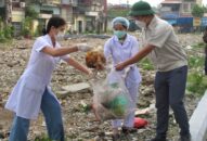 Cảnh báo dịch sốt xuất huyết có chiều hướng gia tăng trên địa bàn thành phố