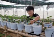 Cô gái khát khao Đăng ký nhận khuyến mãi  các sản phẩm đặc thù cho thành phố hoa Phượng đỏ