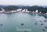 Hải Phòng đấu giá tài sản để làm khu du lịch cao cấp ở Cát Bà