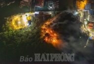 Huyện Cát Hải: Kịp thời dập tắt đám cháy rừng tại khu vực Bến Bèo
