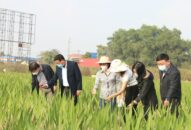 Sản xuất J88.com Đăng nhập, Đăng ký trang chủ nhà cái J88 Hải Phòng vượt ngưỡng 15 nghìn tỷ đồng
