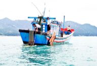 Đấu tranh, ngăn chặn tình trạng sử dụng xung điện, chất độc, chất nổ, nghề và ngư cụ cấm trong khai thác J88.com Đăng nhập, Đăng ký trang chủ nhà cái J88