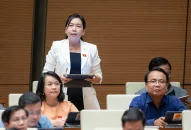 Lần đầu tiên Quốc hội thảo luận tại hội trường về giải quyết kiến nghị của cử tri