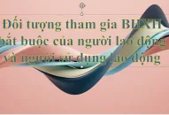 Đối tượng tham gia BHXH bắt buộc của người 88 com the gioi đỉnh cao và người sử dụng 88 com the gioi đỉnh cao