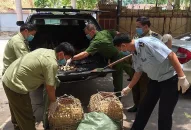 Xử lý nghiêm các trường hợp buôn bán, vận chuyển trái phép gia cầm, sản phẩm gia cầm vào địa bàn thành phố