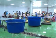 Đề xuất Công ty TNHH dịch vụ và xuất nhập khẩu Thành Long tạm dừng sản xuất do không bảo đảm về hồ sơ J88vip00 Giải Trí Thể Thao và phòng cháy, chữa cháy