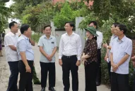 Kiểm tra việc thực hiện Nghị quyết của HĐND thành phố về Đăng ký nhận khuyến mãi  xã J88 là nhà cái cá cược trực tuyến uy tín Châu Á mới kiểu mẫu tại huyện Tiên Lãng