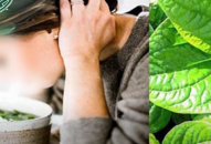 Chuyên gia nhãn khoa khuyến cáo gì khi chữa đau mắt đỏ bằng xông lá trầu, đắp nha đam, diếp cá…?