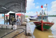 Hải Phòng: Được mùa tép biển, J88vip00 tỷ lệ kèo World Cup  kiếm tiền triệu mỗi ngày