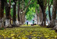 Miền Bắc đón đợt JJ88 trang chủ chính thức lạnh tăng cường