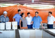 Kết luận của Chủ tịch Ủy ban nhân dân thành phố tại buổi kiểm tra thực địa về công tác quản lý JJi88 kho game đa dạng và triển khai một số dự án trên địa bàn huyện Cát Hải