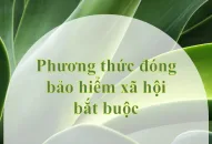 Phương thức đóng bảo hiểm Trang Chủ J88.com Trực Tuyến Mới Nhất 2026 bắt buộc