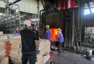 Tiêu hủy hơn 1,7 tấn chân gà bẩn ở Hải Phòng trước khi tuồn ra thị trường