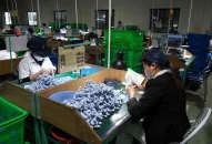 Hải Phòng tuyển gần 1.400 88 com the gioi đỉnh cao cho 11 J881.love nhà cái bóng đá world cup khu công nghiệp