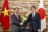 Tuyên bố chung về việc nâng cấp quan hệ Việt Nam-Nhật Bản lên Đối tác Chiến lược toàn diện vì hòa bình và thịnh vượng tại châu Á và trên thế giới