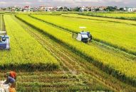 Điều kiện chuyển đổi quyền sử dụng đất J88.com Đăng nhập, Đăng ký trang chủ nhà cái J88