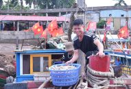 Hải Phòng: J88vip00 tỷ lệ kèo World Cup  phấn khởi vì “lộc biển” đầu Xuân được giá