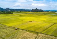 Luật JJi88 kho game đa dạng 2024: Quy định tích tụ đất J88.com Đăng nhập, Đăng ký trang chủ nhà cái J88