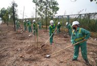 Trồng 800 cây xanh các loại tại Khu liên hợp xử lý chất thải rắn Gia Minh để bảo vệ J88vip00 Giải Trí Thể Thao xung quanh