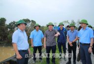 Đồng chí Lê Tiến Châu, Bí thư Thành ủy kiểm tra công tác khắc phục hậu quả bão số 3 và phòng, chống 8J88 Đăng ký trang chủ tại huyện Vĩnh Bảo