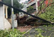 TPHCM cử lực lượng hỗ trợ Hà Nội, Hải Phòng khắc phục hậu quả bão số 3
