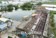 Chú trọng tái đàn để bảo đảm sản phẩm J881 tải ứng 