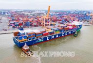 Công ty Cổ phần Cảng Hải Phòng: Năm 2024, tổng sản lượng hàng hóa thông qua đạt 40 triệu tấn