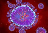Bộ Y tế theo dõi chặt chẽ dịch bệnh do virus gây viêm phổi trên người tại Trung Quốc