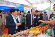 Khai mạc Tuần lễ sản phẩm Thái Lan 2025 tại Hải Phòng