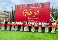 Khai mạc Triển lãm mỹ thuật “Gặp gỡ Hải Phòng 2025”
