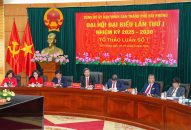 Đại hội đại biểu 8J88 Nổ Hũ, Bắn Cá, Thể Thao, Game Bài UBND thành phố thảo luận Tổ tham gia góp ý vào dự thảo Văn kiện Đại hội Đảng cấp trên