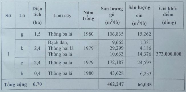 Daugia Lamdong