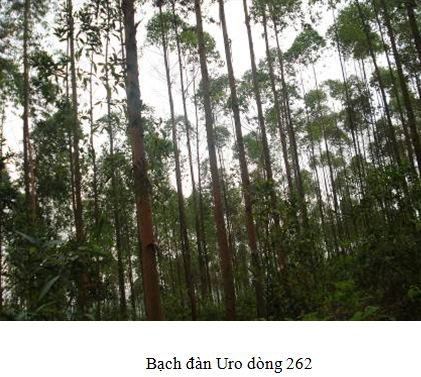 262