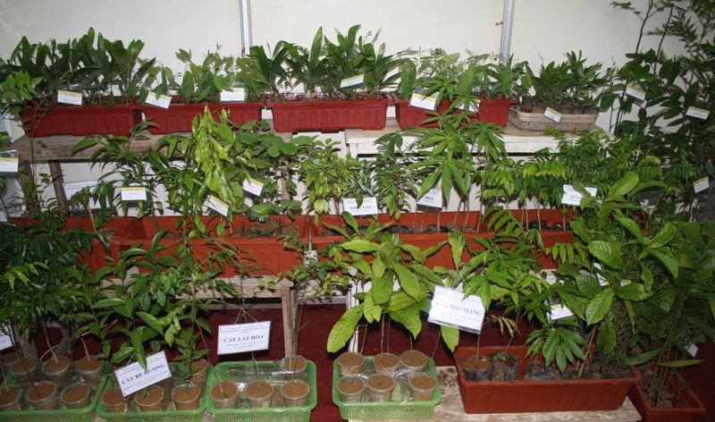14-11-14 AgroVietGiong