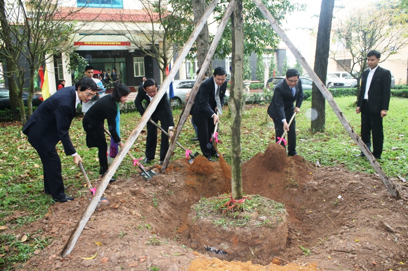 15-03-07 Botruong7