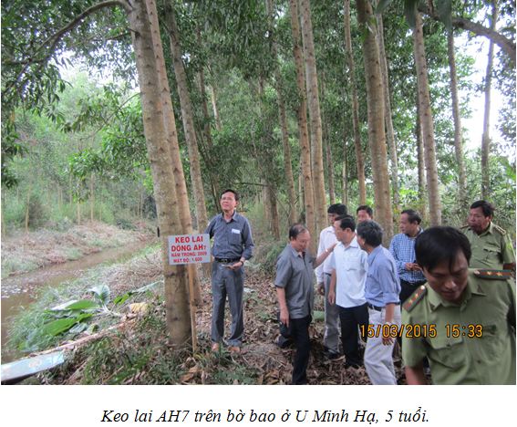 15-03-23 Mohinh Camau