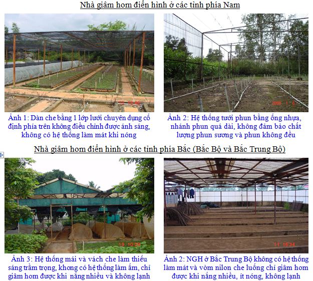 15-03-24-MT Nha GH1