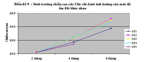 15-04-02 Cho chi song da1