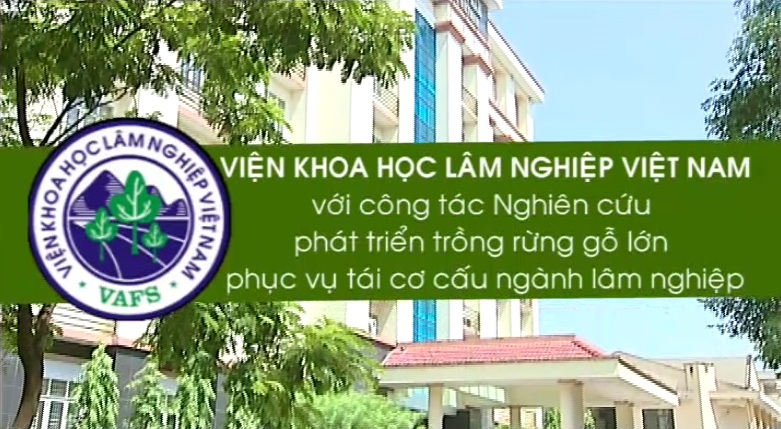 15-10-12 GT Phong su