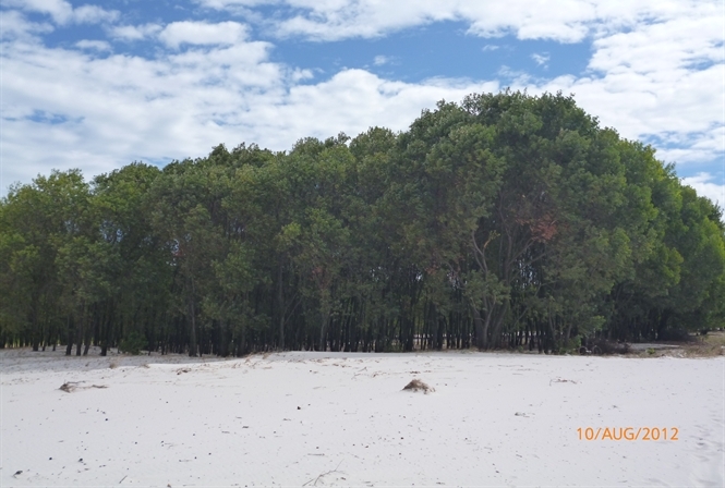 16-06-03 Keo la Liem1