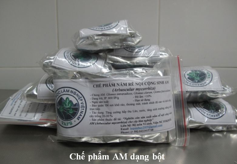 16-11-03 Che pham AM