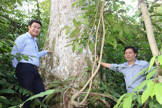 16-12-01 ChoNau1