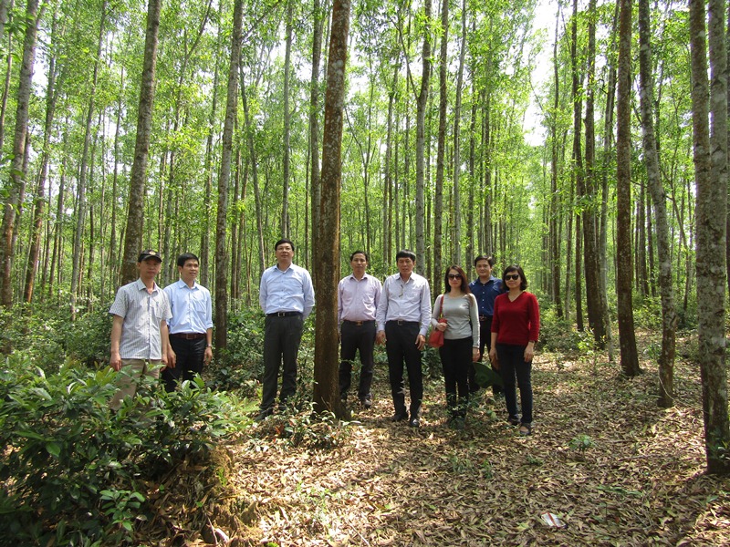 17-03-06 KT QuangTri3