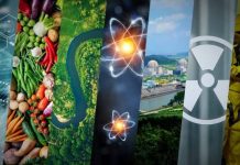 Bảy cách AI thay đổi khoa học và công nghệ hạt nhân
