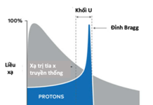 Xạ trị Proton