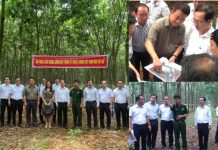 Bảo đảm tiến độ Đăng ký nhận khuyến mãi lò phản ứng hạt nhân mới công suất 10 MW
