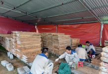 Đất hiếm – “Chìa khóa” chuyển đổi năng lượng xanh và bài toán tự chủ công nghệ của Việt Nam