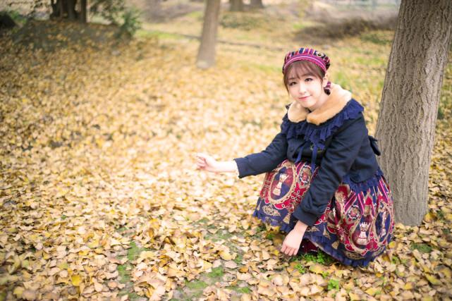   Kết quả chỉ đạo, điều hành từ ngày 28/11 - 02/12/2016  của Ủy ban nhân dân tỉnh, Chủ tịch Ủy ban nhân dân tỉnh
